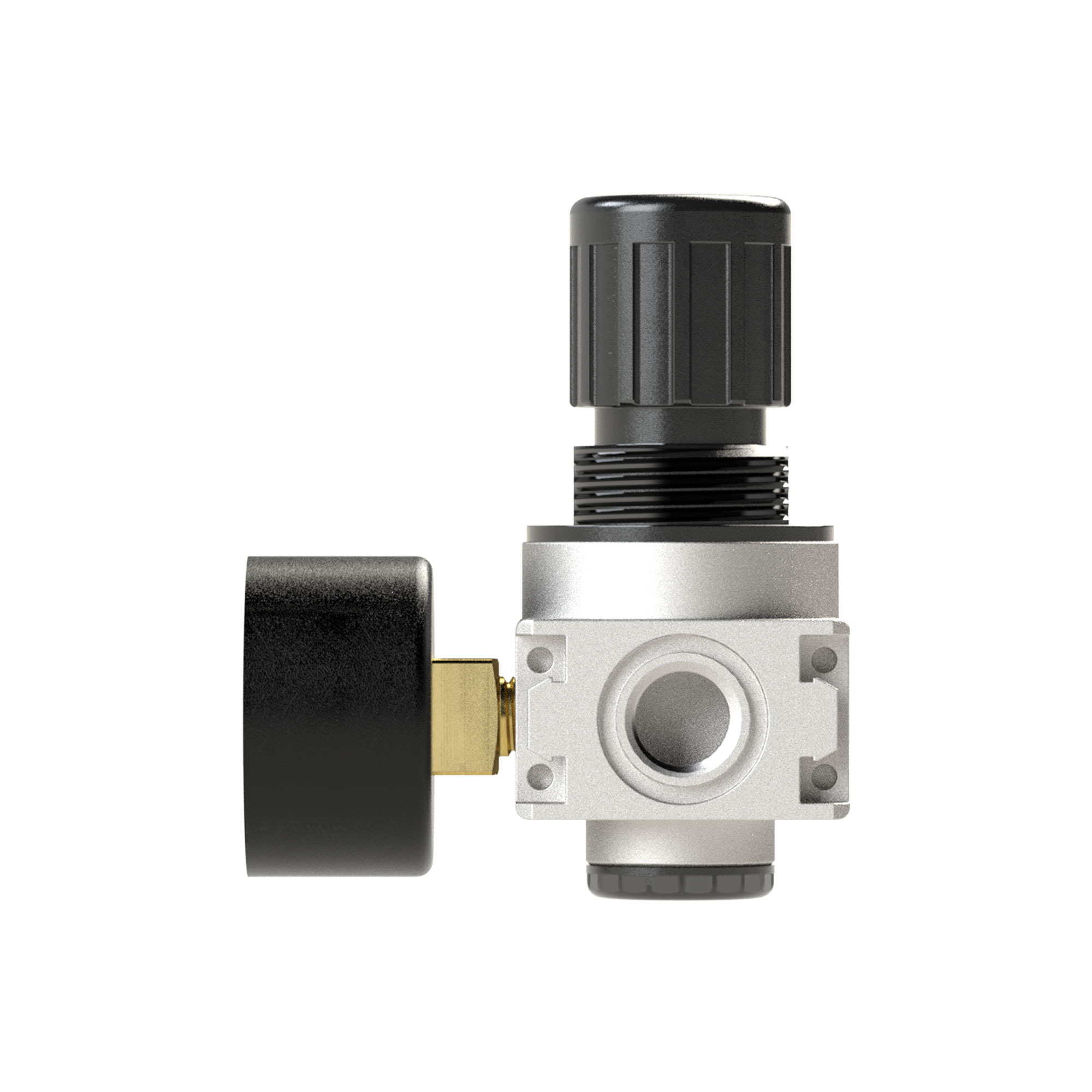 Druckregler »multifix-mini« inkl. Mano, BG 0, G 1/4, 0,5 - 10 bar - Riegler 100343