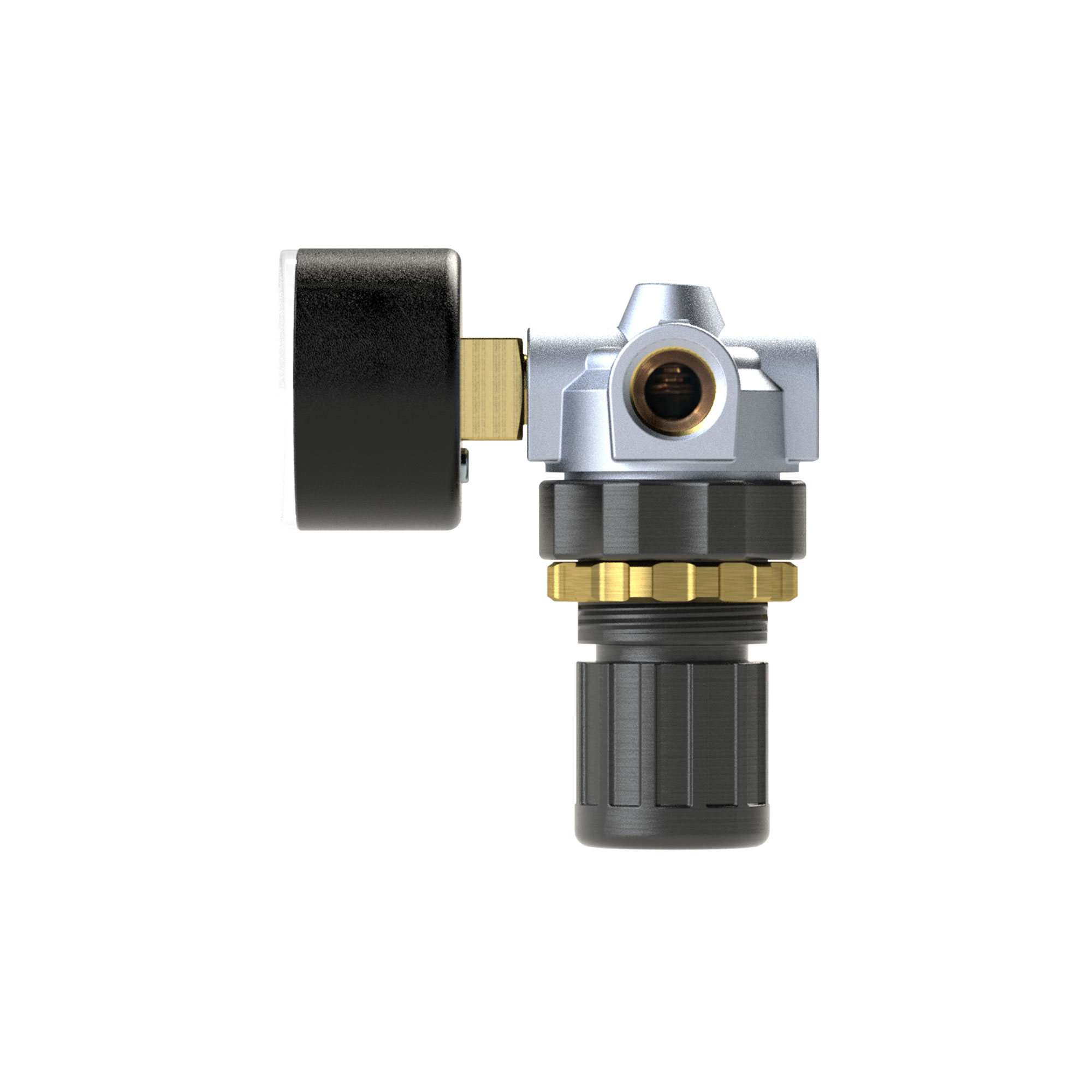 Druckregler »Standard-mini«, Schalttafelmutter, G 1/4, 0,2-6 bar - Riegler 100777