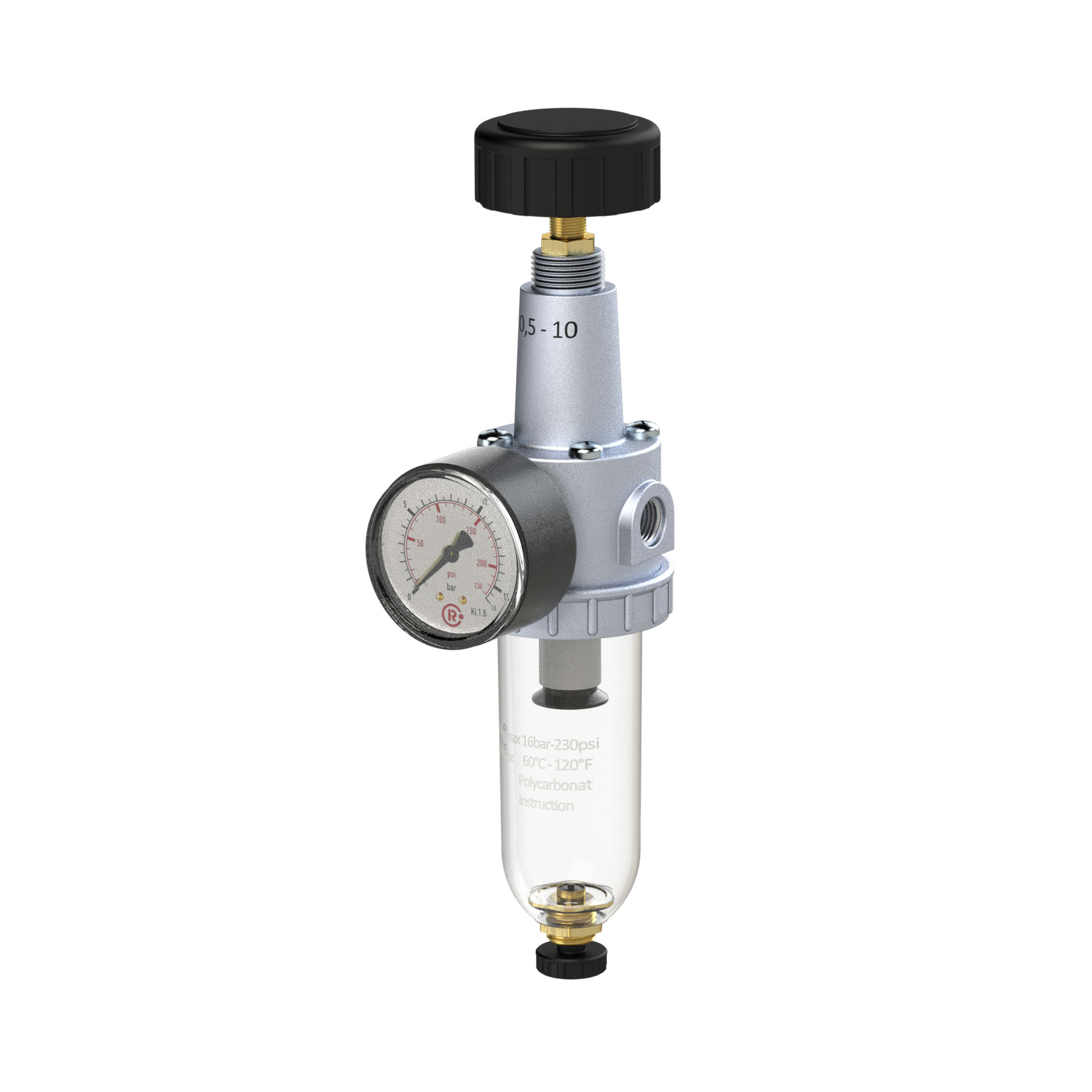 Filterregler »Standard«, mit Polycarbonatbehälter, BG 2, G 3/8 - Riegler 100924