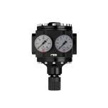 Riegler 101139.Large pressure regulator, 2 pressure gauges, G 1 1/2, 0.5-25 bar