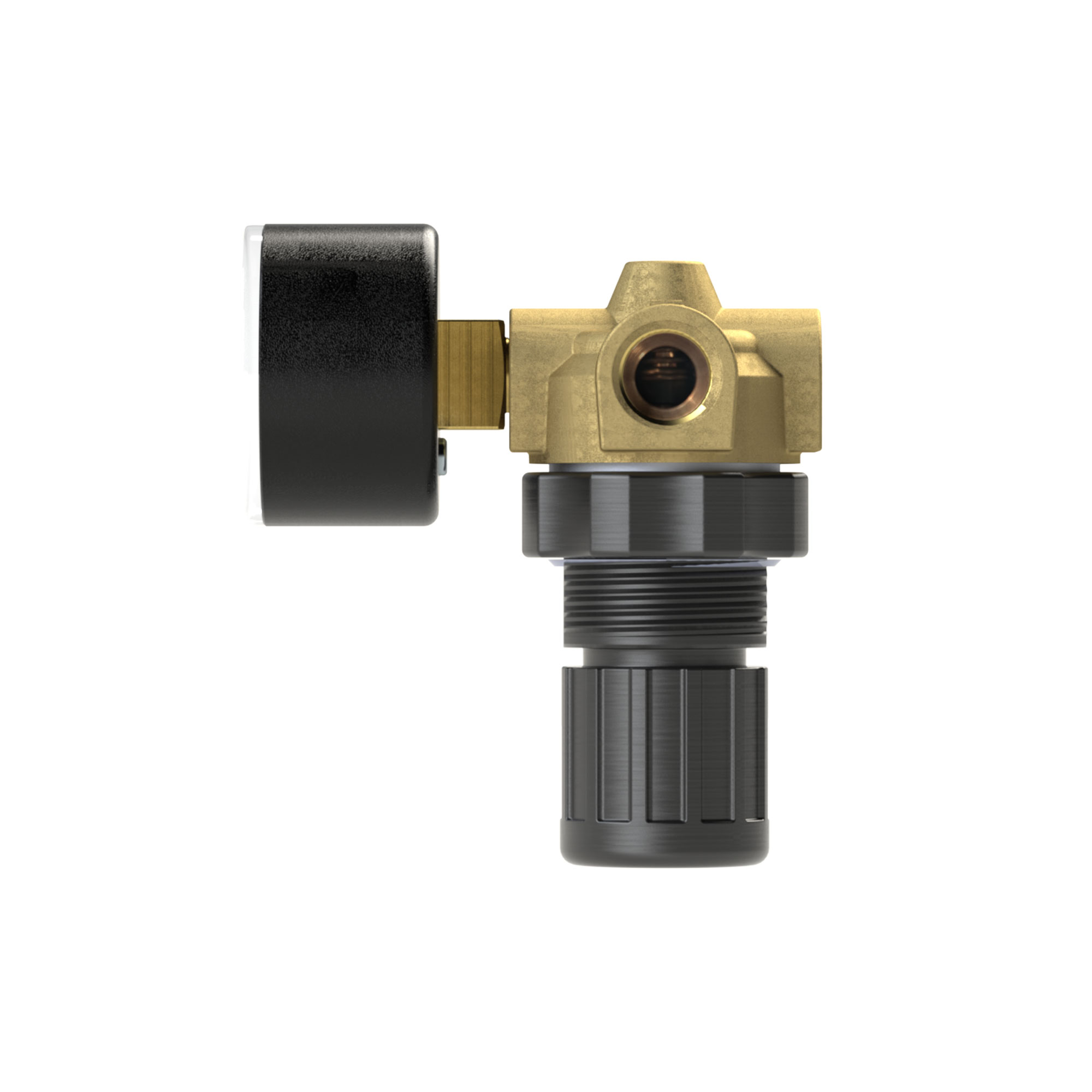 Pressure regulator for water, pressure gauge, G 1/4, 0.2 - 6 bar - Riegler 101304