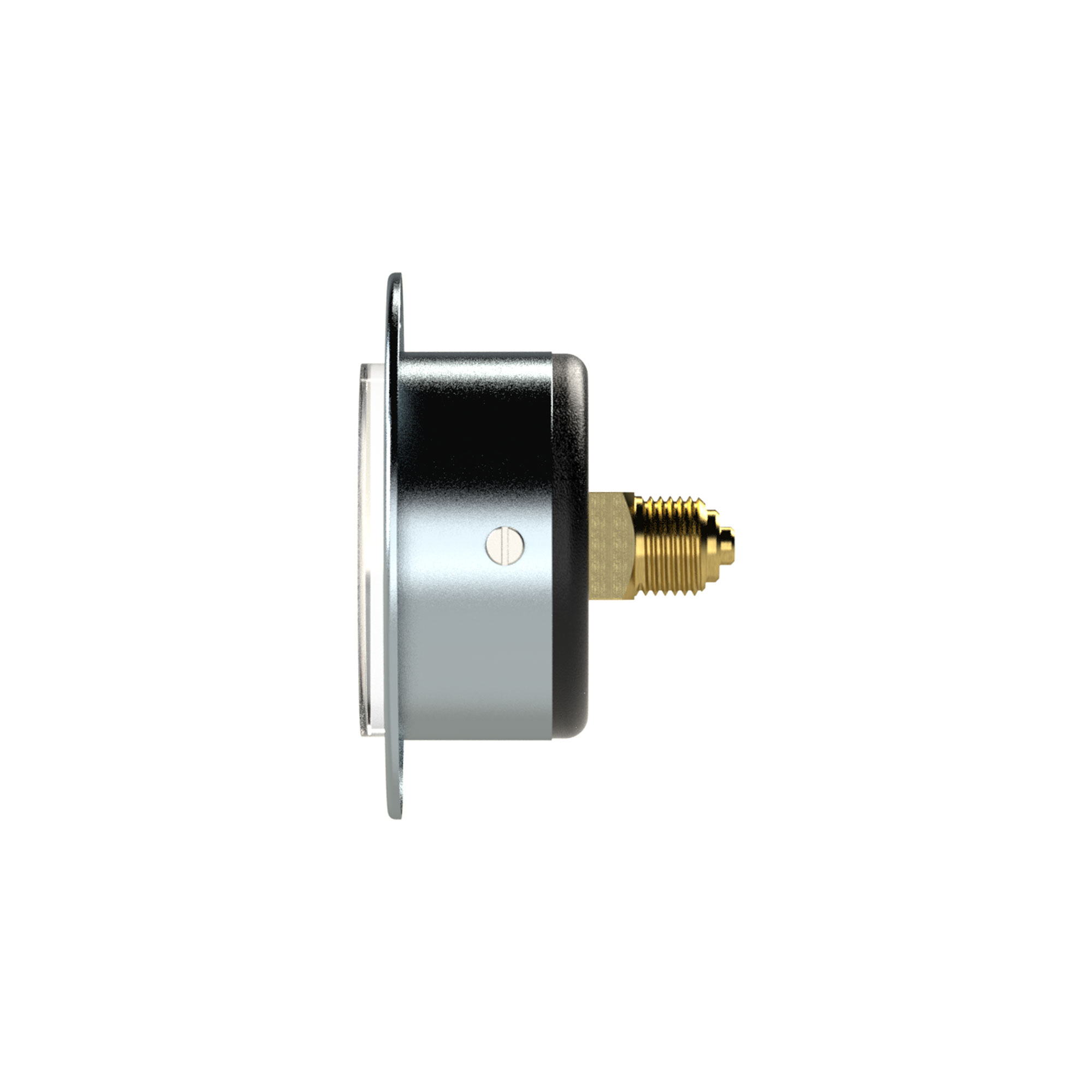 Standard pressure gauge, front ring, G 1/8, 0 - 2.5 bar, Ø 40 - Riegler 101852