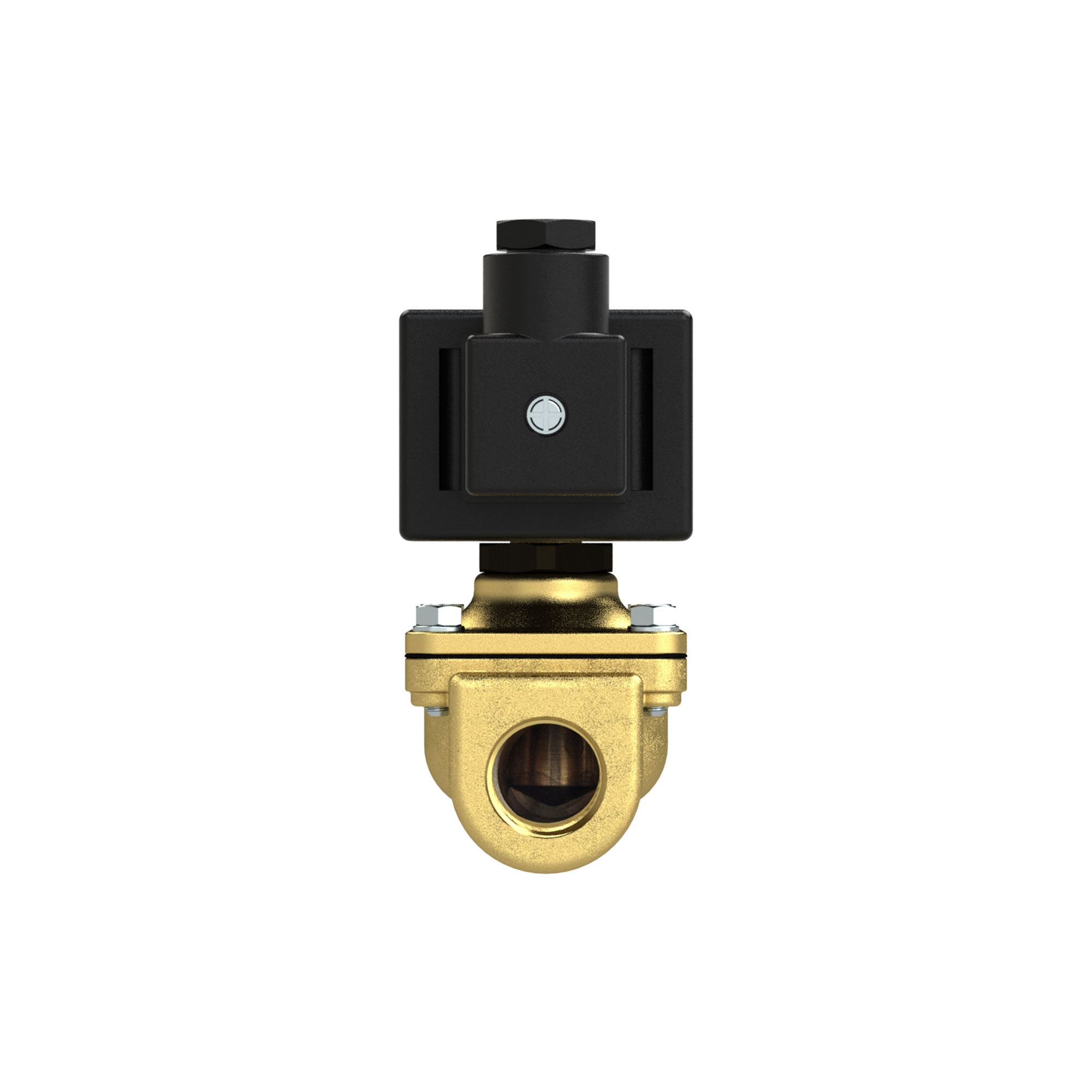 2/2-MV,MS,NC,zwangsg,230-240V,50-60Hz,27VA,NBR+PA,G1,PN0-14bar - Riegler 102907