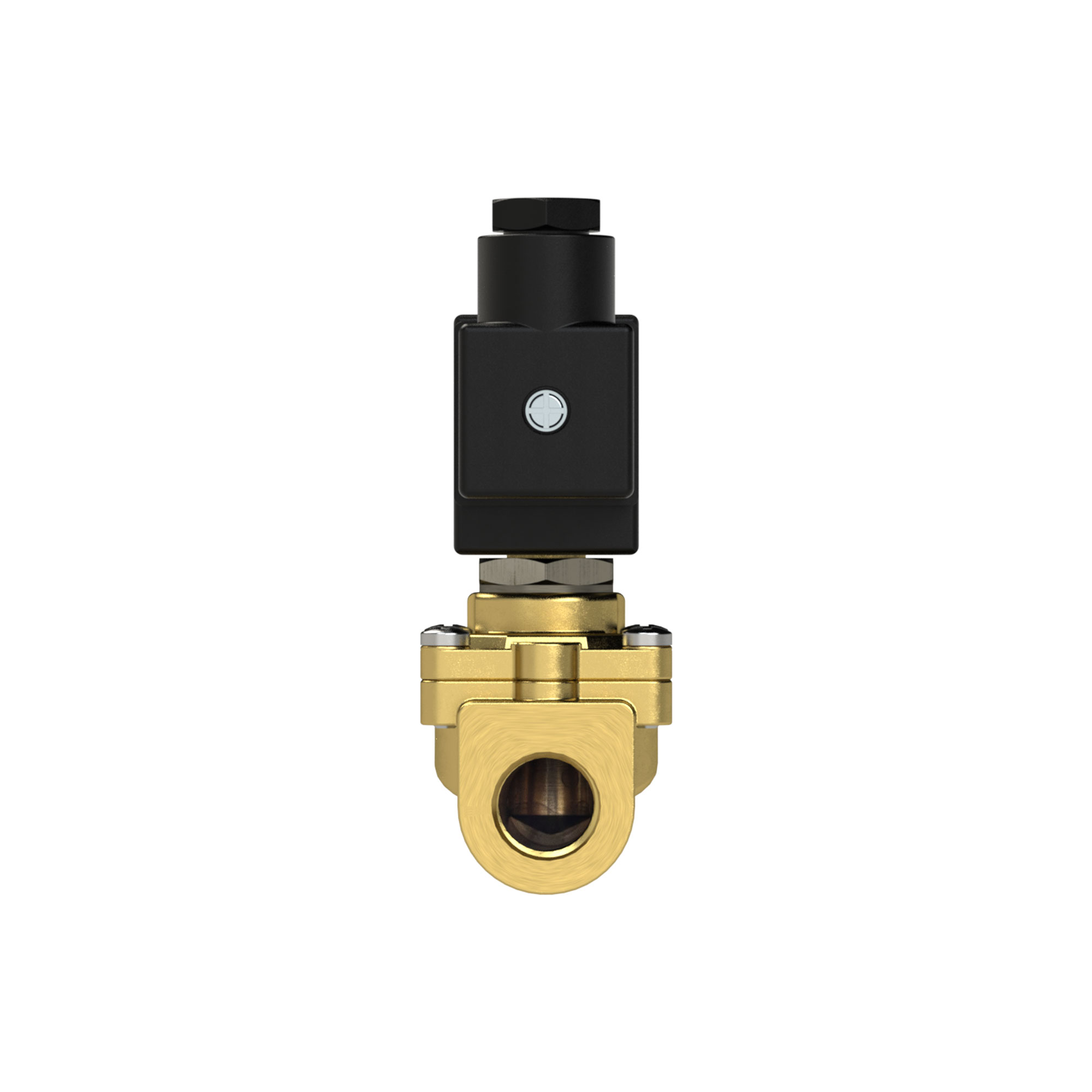 2/2-solenoid valve,NC,pilot operat.,24V DC,8W,NBR,G2,0.2-10bar - Riegler 102946