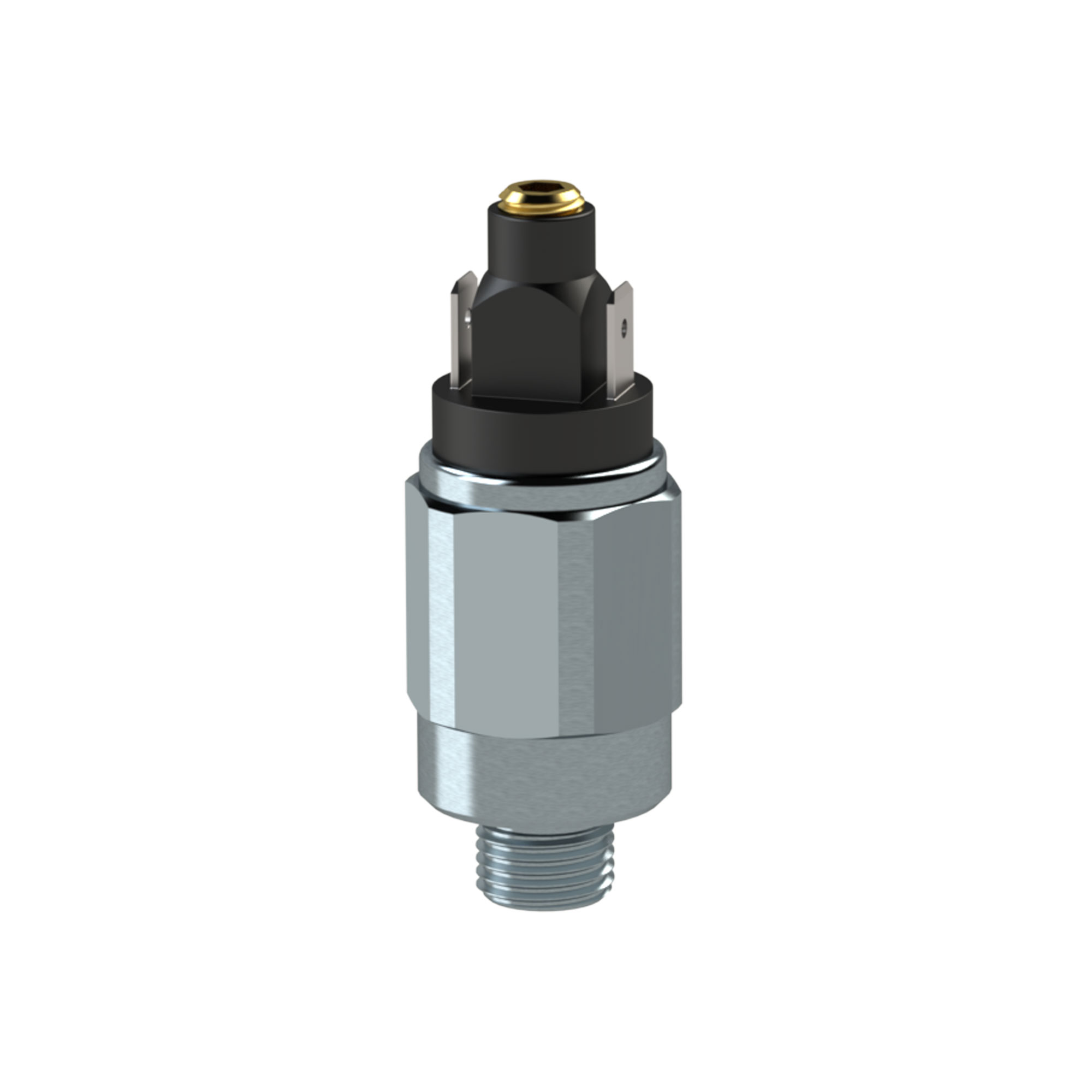 Pressure switch standard design, galvanised steel, 10 - 70 bar - Riegler 102995