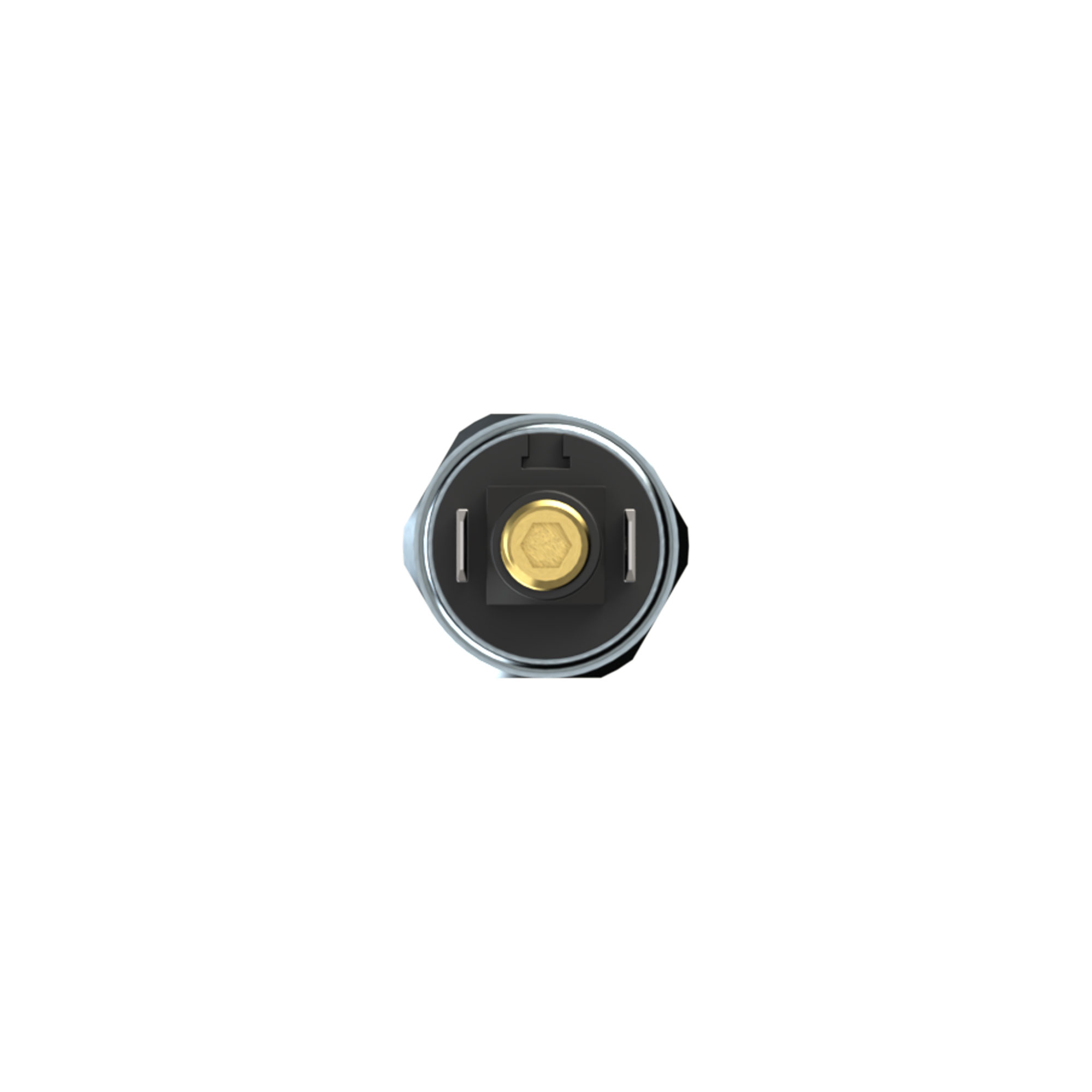 Pressure switch standard design, galvanised steel, 10 - 70 bar - Riegler 102995
