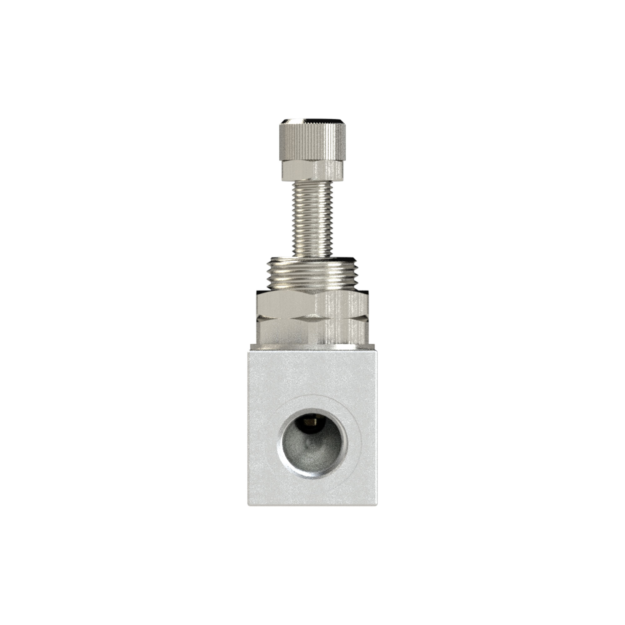 Throttle check valve, in block shape, Anodised aluminium, G 1/4 - Riegler 103804