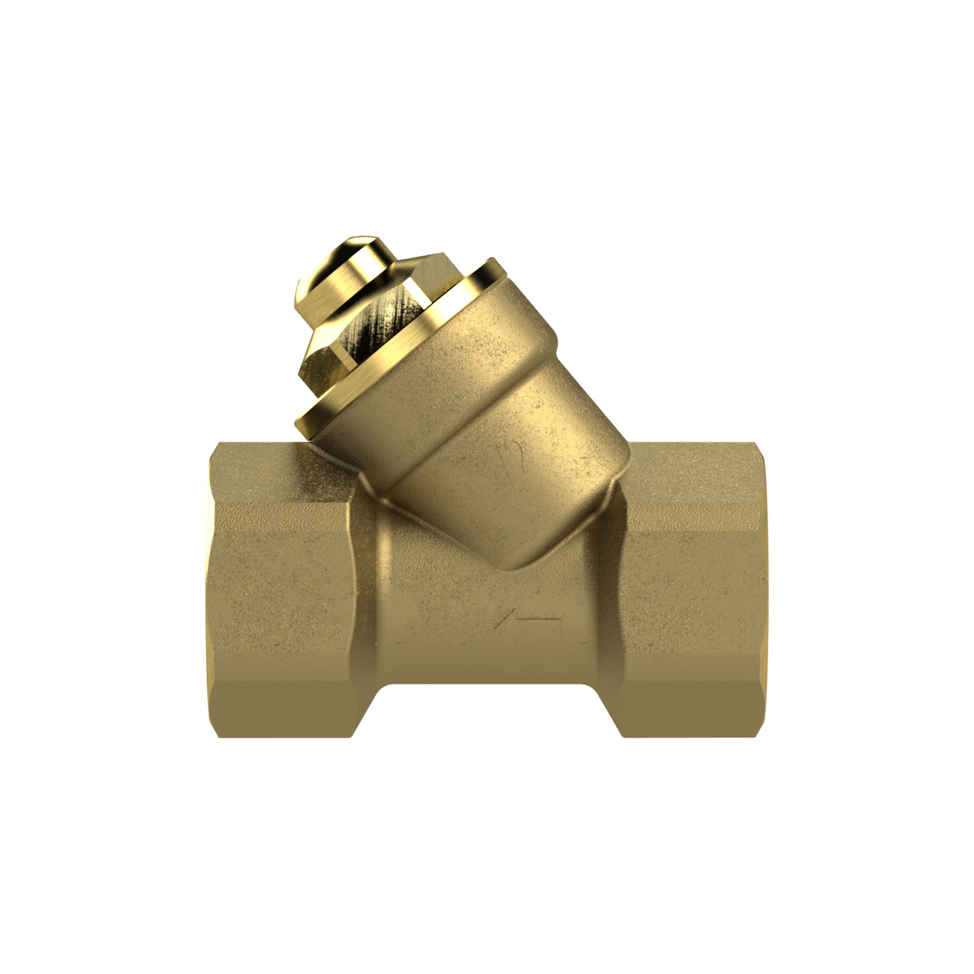 Check valve, Inclined seat design, Brass, Rp 2, 0.5 bar - Riegler 103831