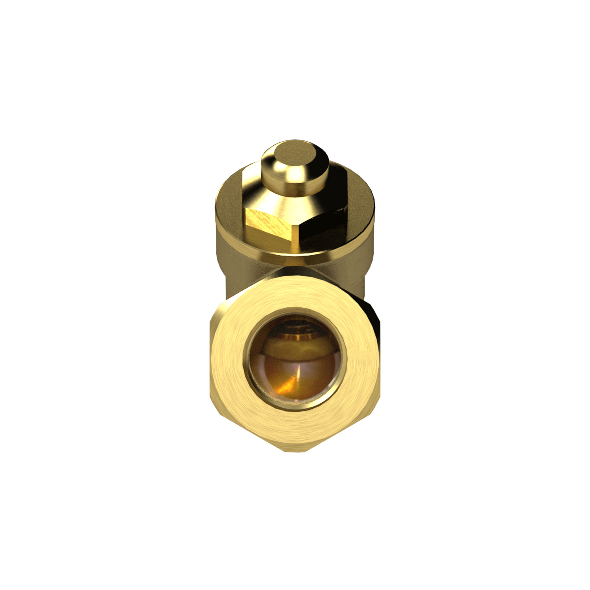 Check valve, Inclined seat design, Brass, Rp 2, 0.5 bar - Riegler 103831