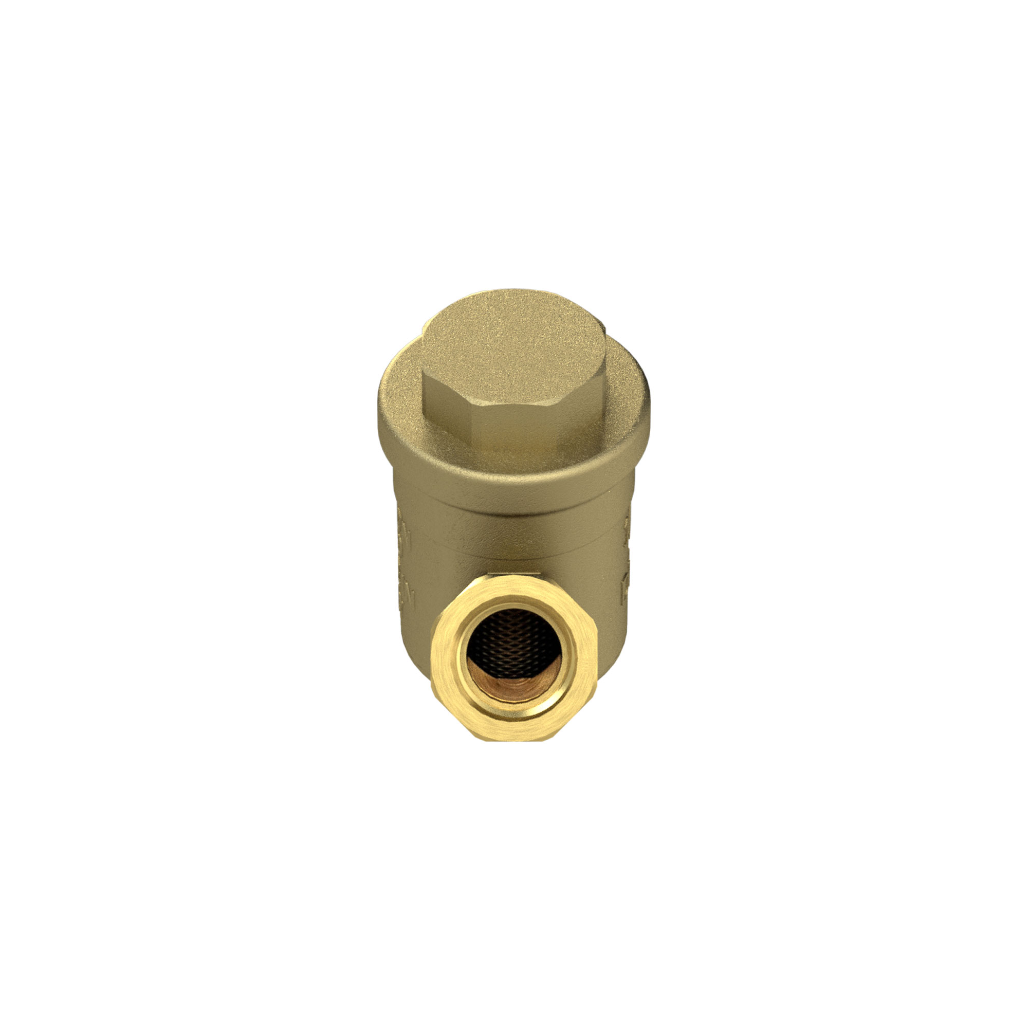 Schmutzfänger, Messing blank, G 3/8, DN 10, MW 0,5 mm - Riegler 105689