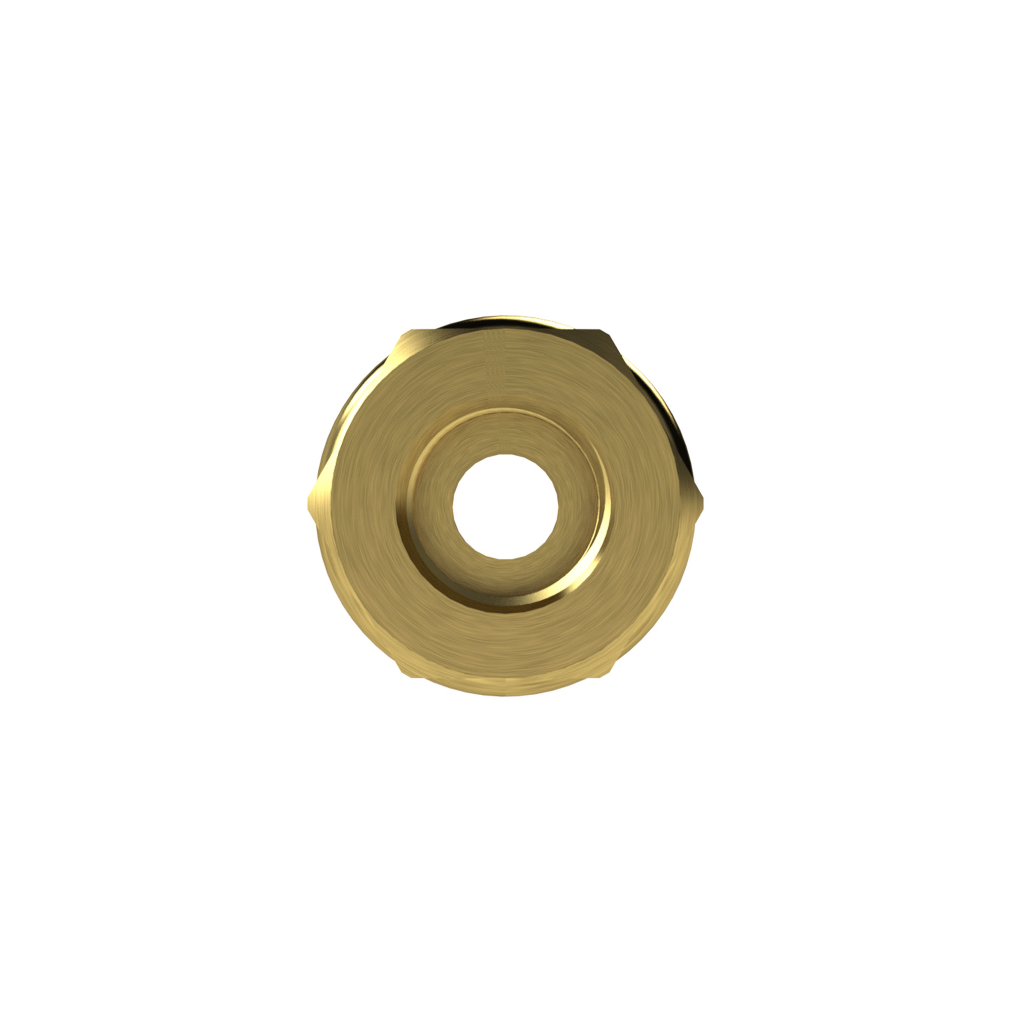 Quick-connect coupling I.D. 7.2, bright brass, G 1/2 IT - Riegler 107213