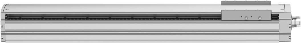 Spindelachse ELGT-BS-120-550-10P - Festo 8124456