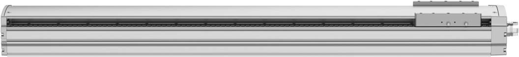 Spindelachse ELGT-BS-120-800-20P - Festo 8124506
