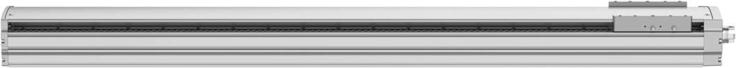 Spindelachse ELGT-BS-120-1000-10P - Festo 8124463