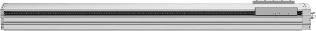 Spindelachse ELGT-BS-160-1000-10P - Festo 8124525