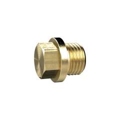Riegler 136095.Locking screw, Exterior hexagonal and flange, G 1/8, AF 10, Brass