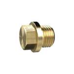 Riegler 136098.Locking screw, Exterior hexagonal and flange, G 1/2, AF 19, Brass