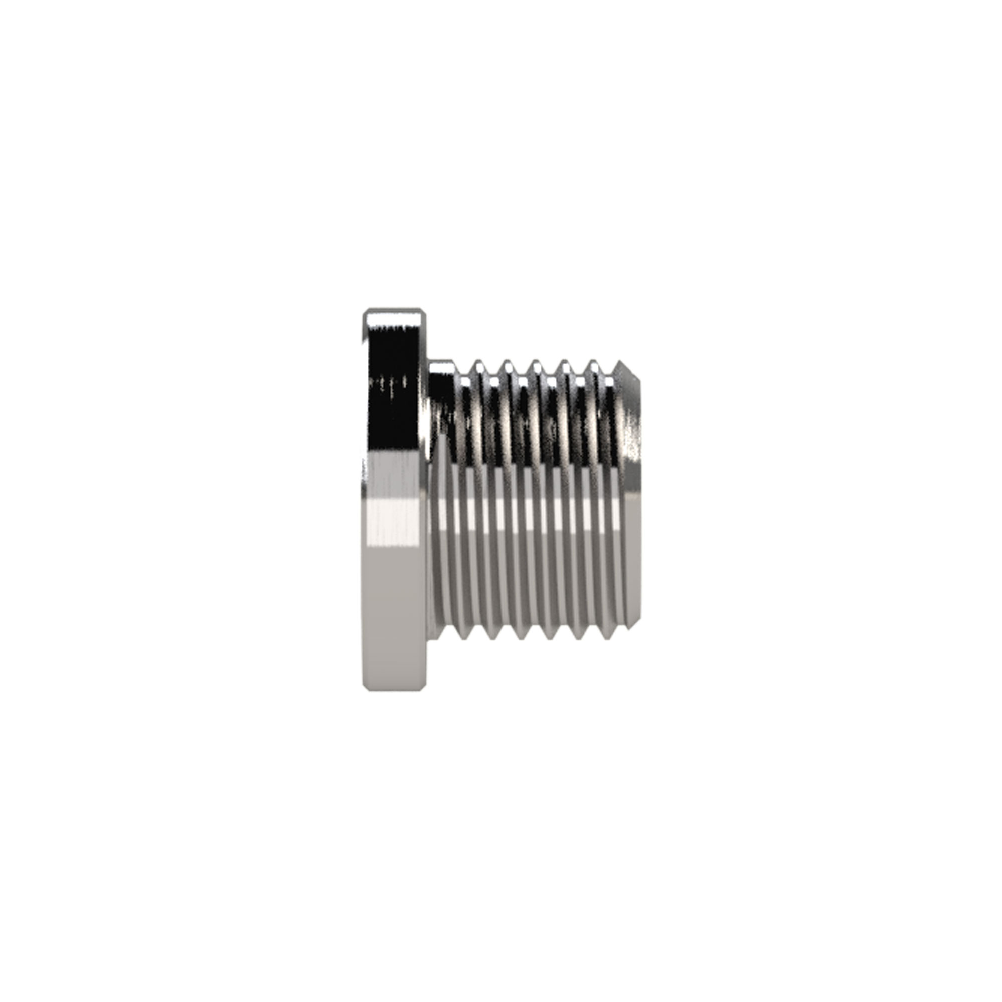 Locking screw, Hexagonal socket, Flange, G 1/4, Stainless steel - Riegler 111646
