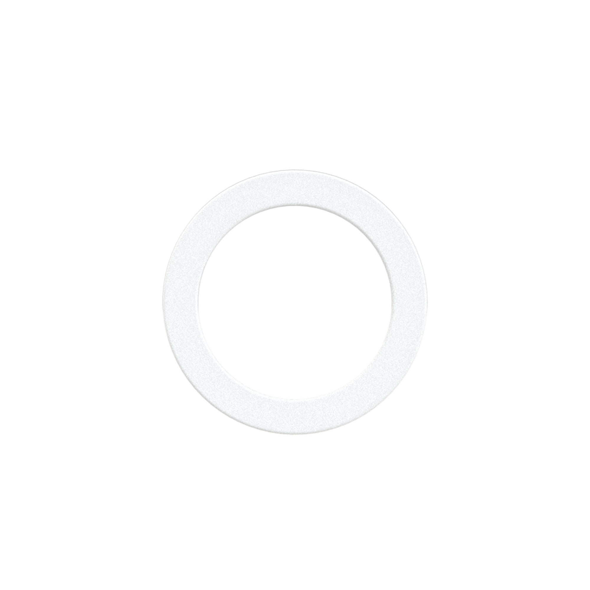 Dichtring aus PTFE, für Gewinde G 3/4, VPE 100 Stk. - Riegler 114114