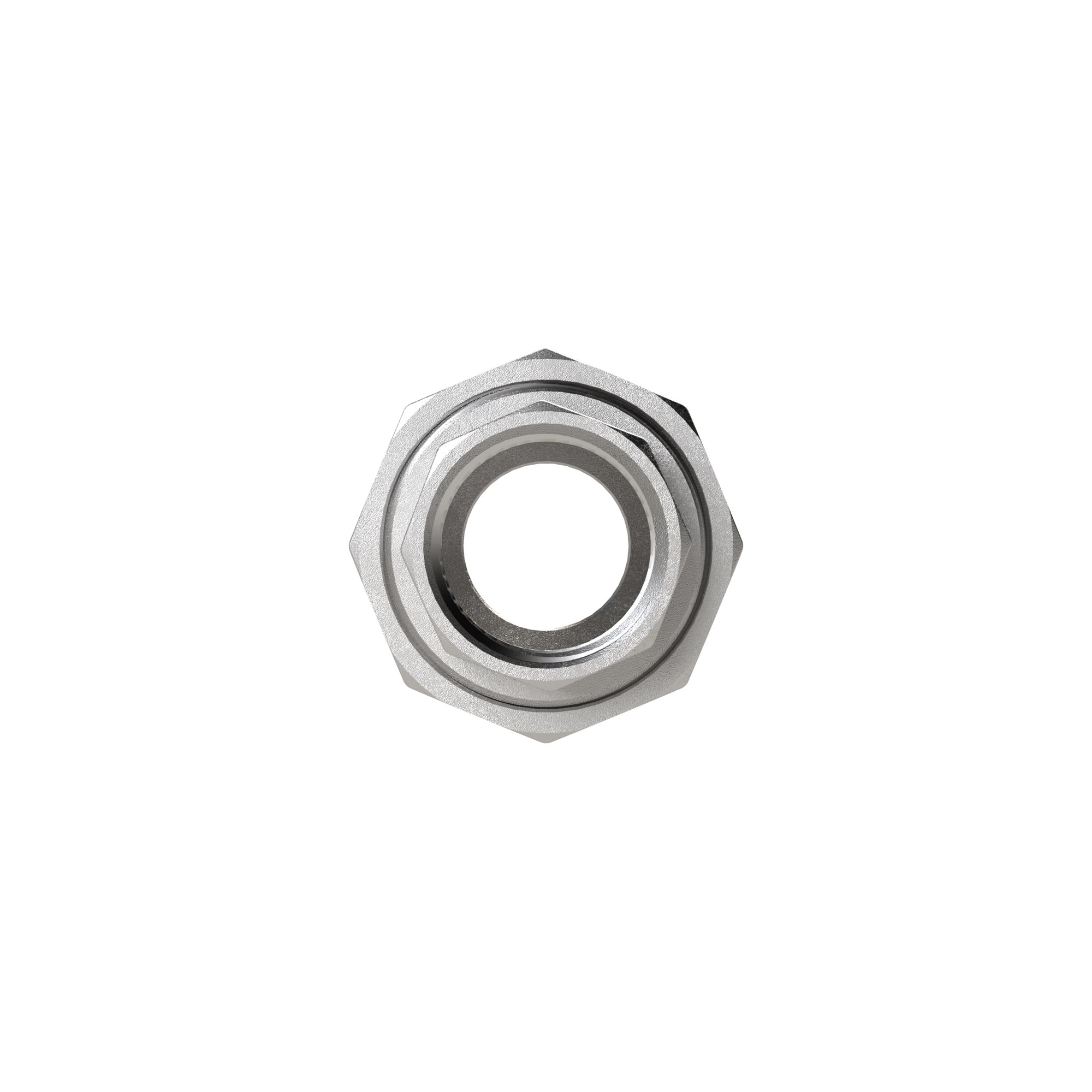 Removable Double threaded nipple, flat sealing, Rp/R1, i./a.,AF54 - Riegler 118224