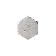 Riegler 119330. Verschlussstopfen, Sechskant, G 2, AG, SW 62, ES 1.4408