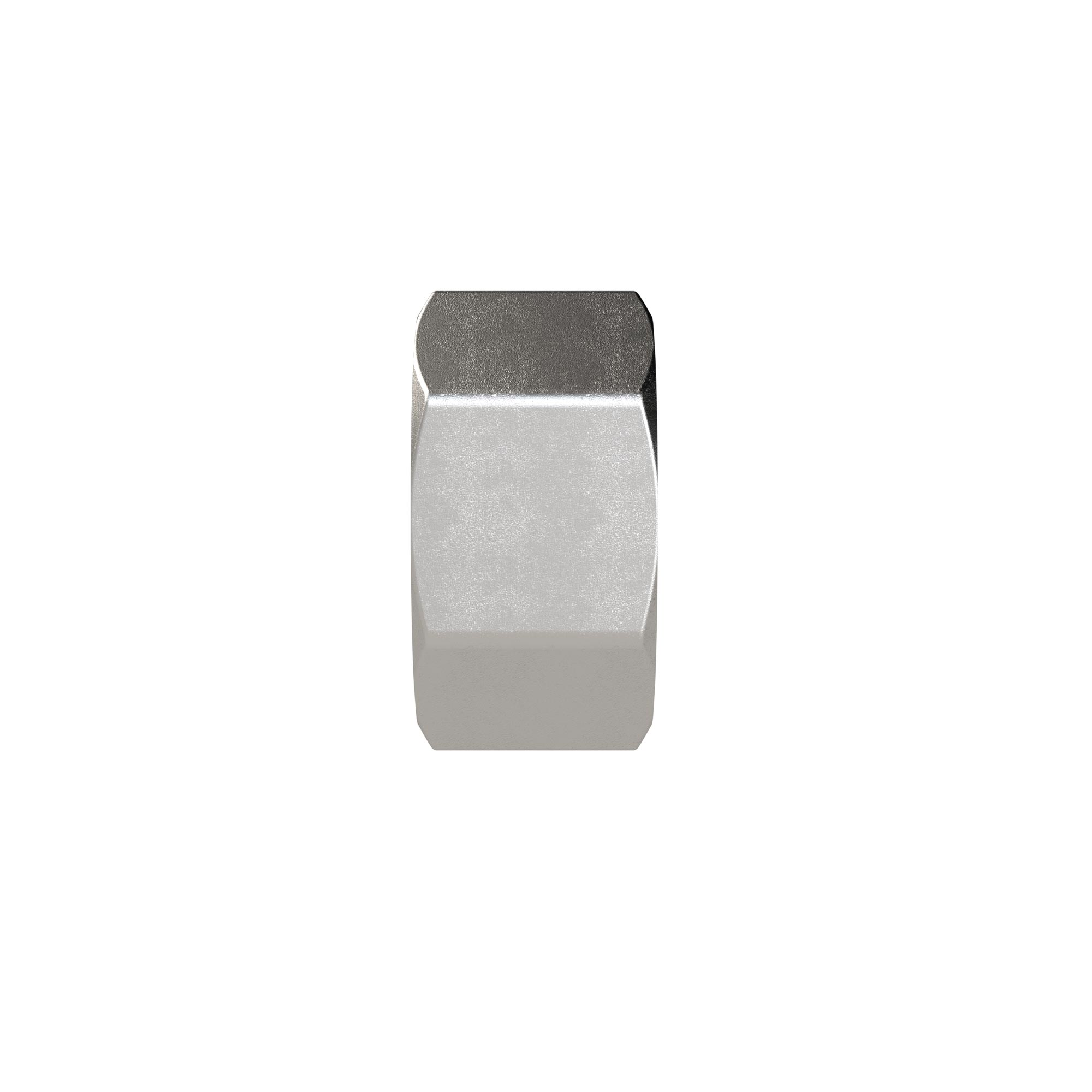 Verschlusskappe, Sechskant G 3/8, IG, SW 20, ES 1.4408 - Riegler 119343