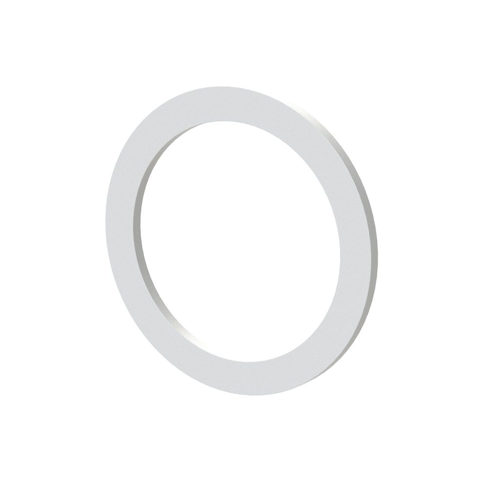 Riegler 119457.Flat seal made of PTFE size 4