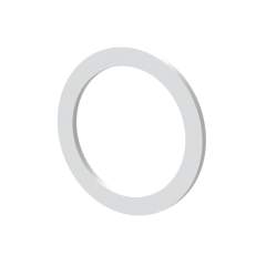Riegler 119411. Flachdichtung aus PTFE Gr. 1
