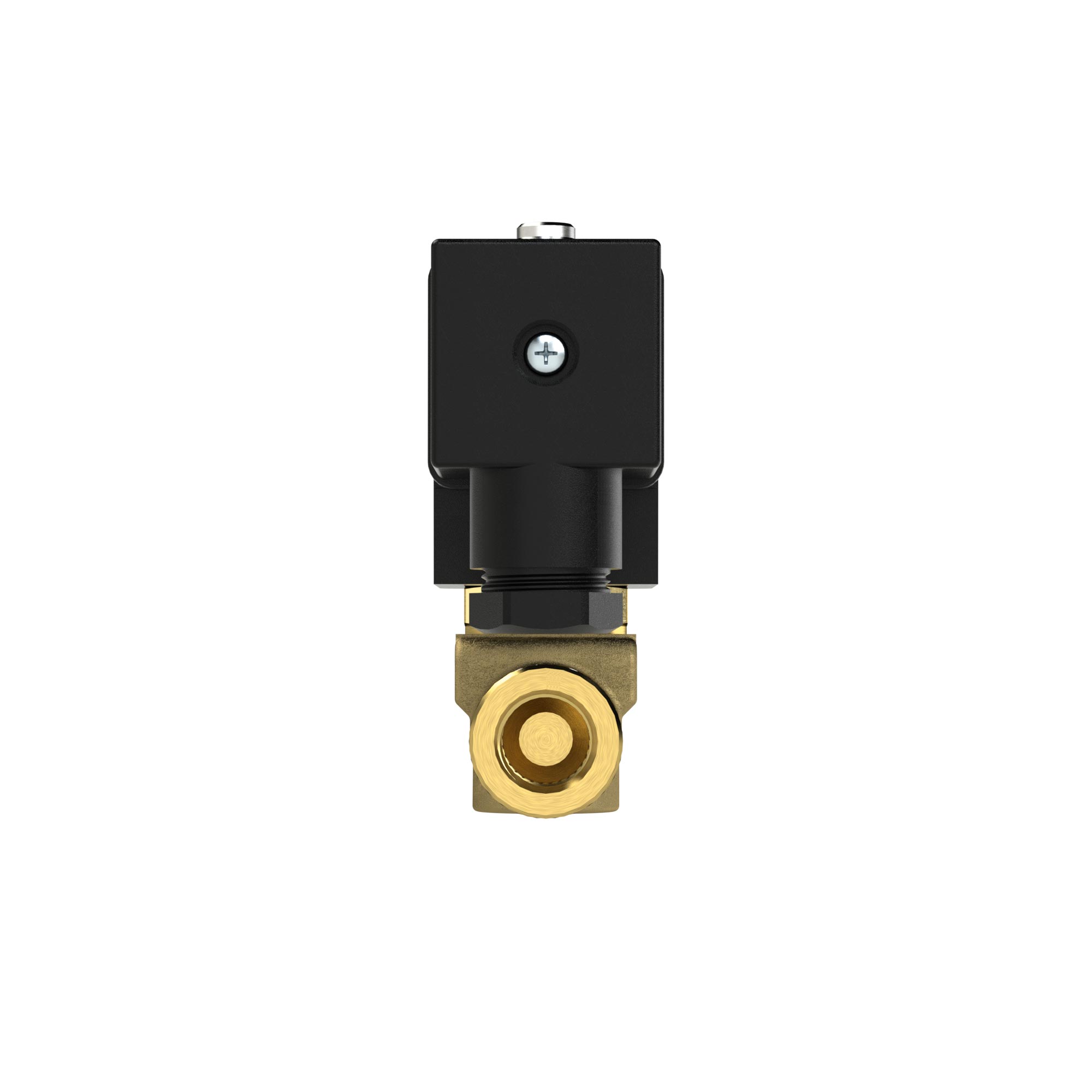 2/2 MV, NC, MS, G14, DN 4,0, PN 0-8, FPM, direktg. 24V DC - Riegler 129298