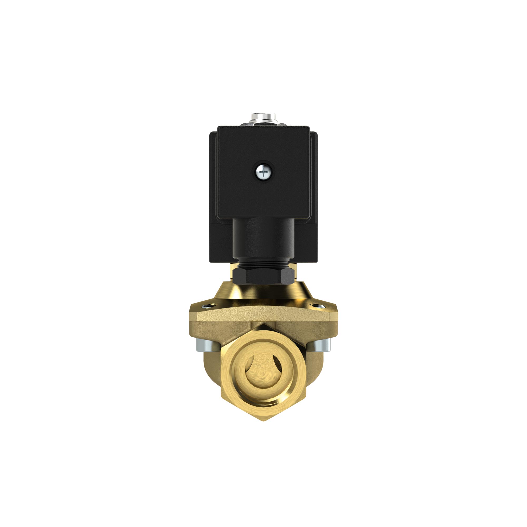 2/2 solenoid valve, NC, G12, PN 0-12, NBR, comb. opera., 110V AC - Riegler 129457