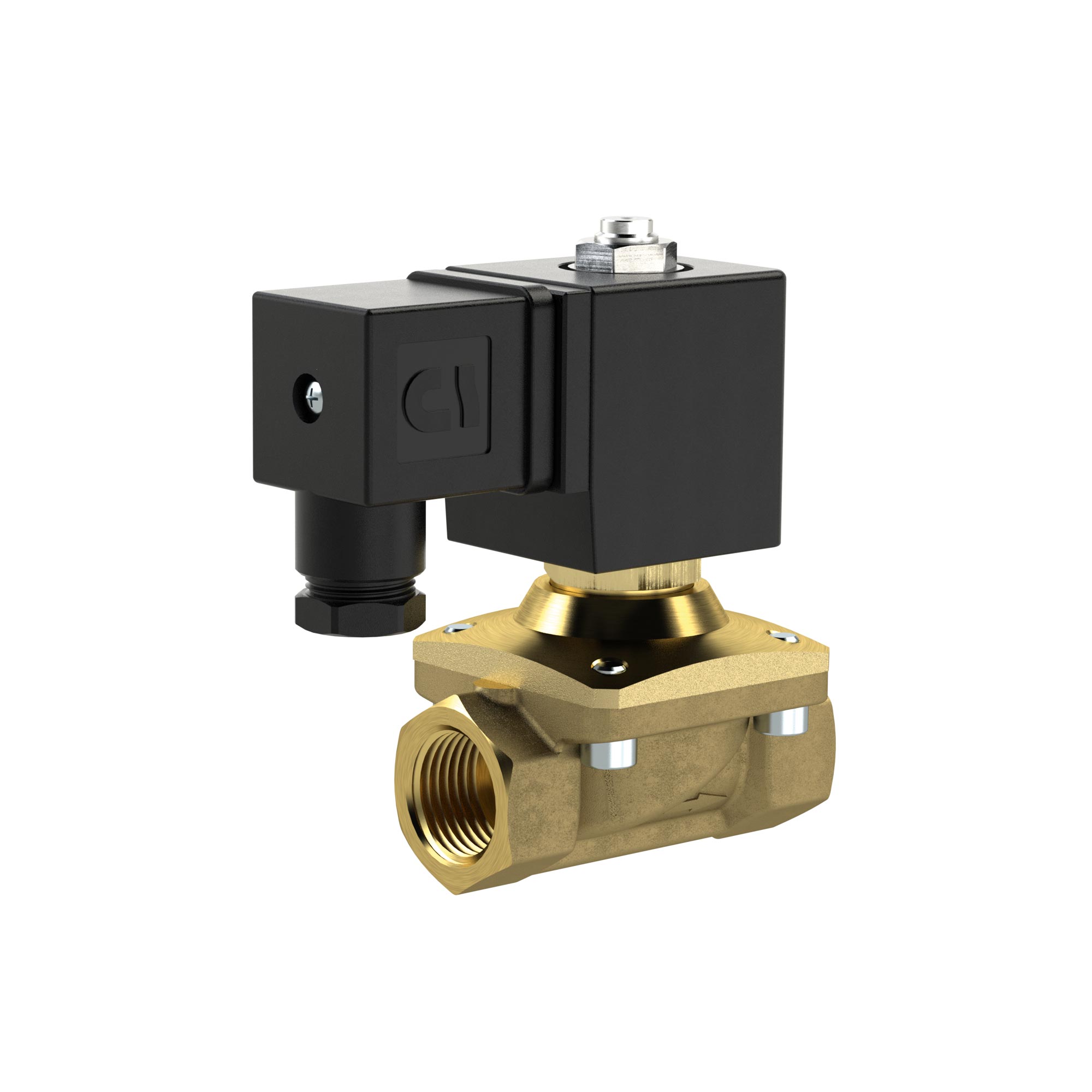 2/2 MV, NC, MS, G 1/2, DN13, PN 0-12, FPM, zwangsg., 12V DC - Riegler 129429