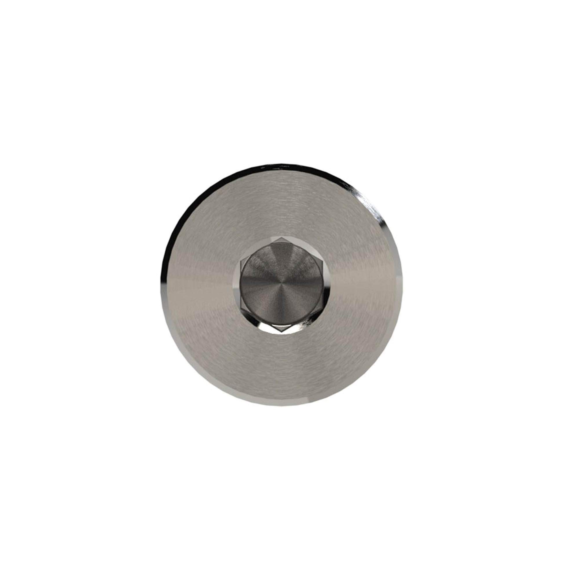 Locking screw »NonPlusUltra«, IH, G1/2, AF10, VPE10 - Riegler 132312