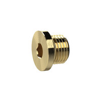 Riegler 135970.Locking screw, Hexagonal socket and flange, G 1 1/2, AF 24, Brass