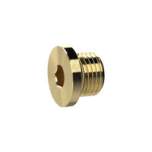 Riegler 135966.Locking screw, Hexagonal socket and flange, G 1/2, AF 10, Brass
