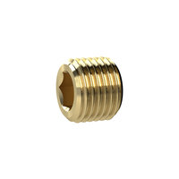 Riegler 135994.Locking screw, Hexagonal socket, without flange, G 3/4, Brass