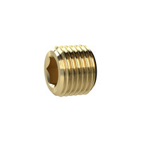 Riegler 135991.Locking screw, Hexagonal socket, without flange, G 1/4, Brass