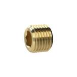 Riegler 135993.Locking screw, Hexagonal socket, without flange, G 1/2, Brass