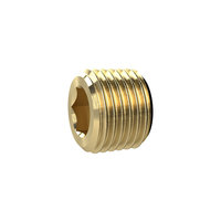 Riegler 136079.Locking screw, Hexagonal socket, without flange, R 1/2, Brass