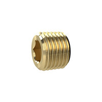 Riegler 136080.Locking screw, Hexagonal socket, without flange, R 3/4, Brass