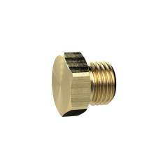 Riegler 136086.Locking screw, Exterior hexagonal, G 1/8, AF 14, Brass