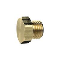 Riegler 136087.Locking screw, Exterior hexagonal, G 1/4, AF 17, Brass