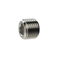 Riegler 136451.Locking screw, Hexagonal socket, without flange, G 1 1/2