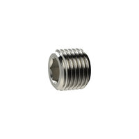 Riegler 136444.Locking screw, Hexagonal socket, without flange, G 1/8