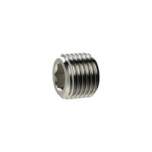 Riegler 136445.Locking screw, Hexagonal socket, without flange, G 1/4