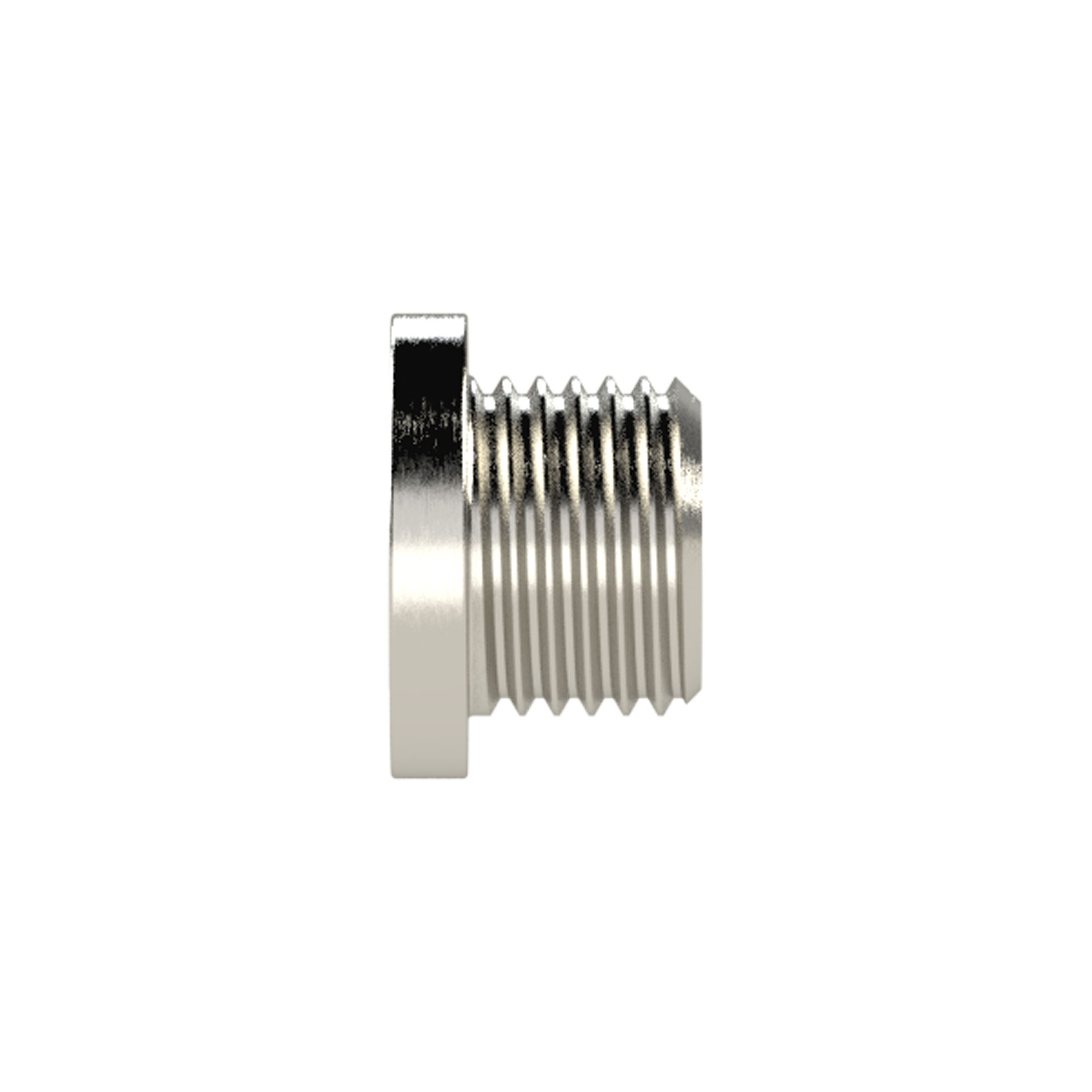 Locking screw, Hexagonal socket and flange, G 3/4 - Riegler 137914