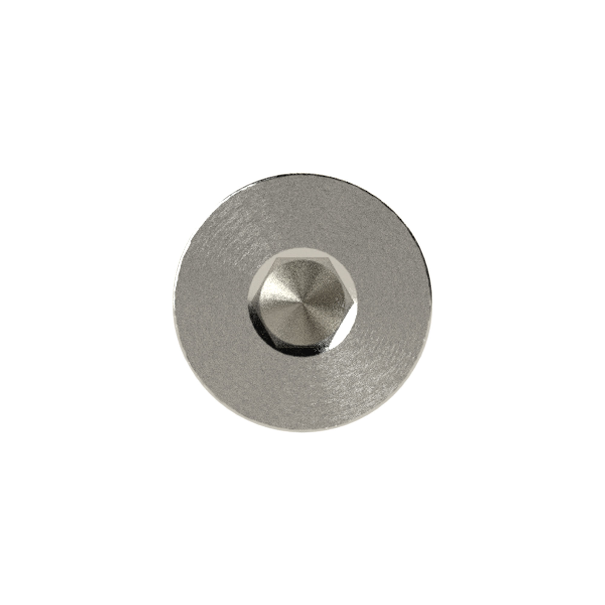 Locking screw, Hexagonal socket and flange, G 3/4 - Riegler 137914