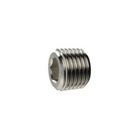 Riegler 137938.Locking screw, Hexagonal socket, without flange, R 1/8