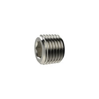 Riegler 136453.Locking screw, Hexagonal socket, without flange, R 3/4