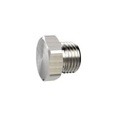 Riegler 136461.Locking screw, Exterior hexagonal, G 2, nickel-plated brass