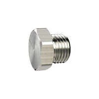 Riegler 137948.Locking screw, Exterior hexagonal, G 1/8, nickel-plated brass